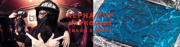 PSILOCYBIN Балахна