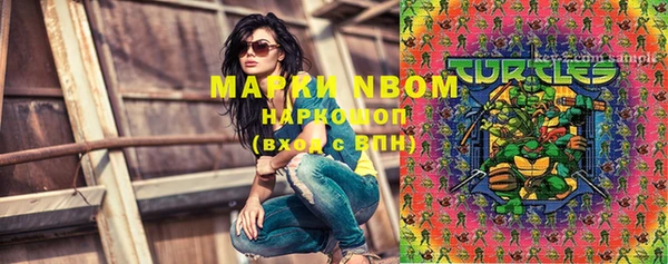 PSILOCYBIN Балахна
