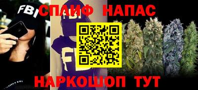 гашиш Кингисепп