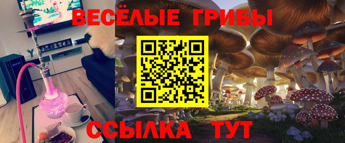 Муравленко  Псилоцибиновые грибы мухоморы  Вход с VPN 